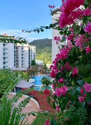 The Hillside (D21), Condominium #591518551
